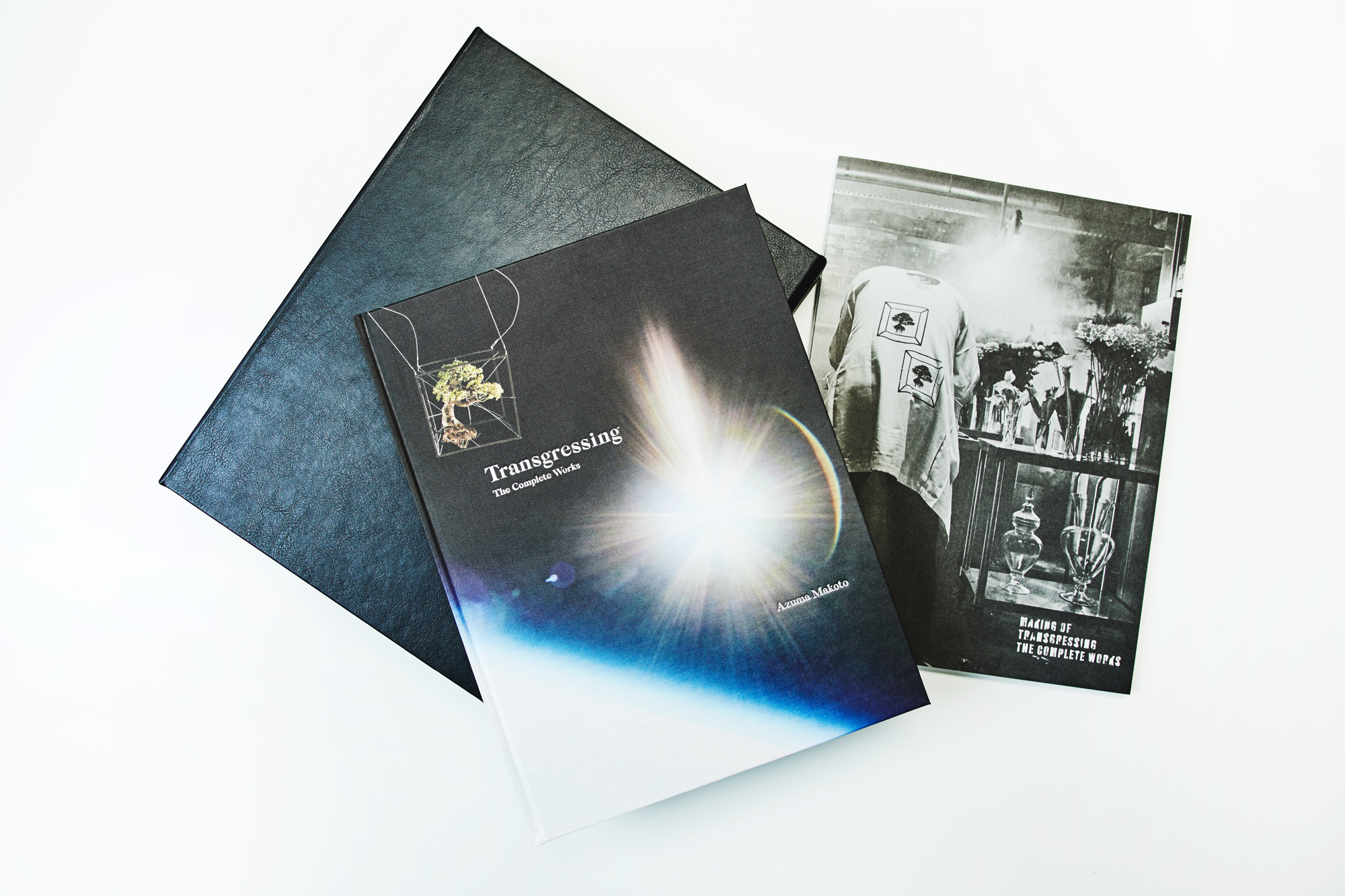Transgressing The Complete Works 東信 AMKK（東信, 花樹研究所）